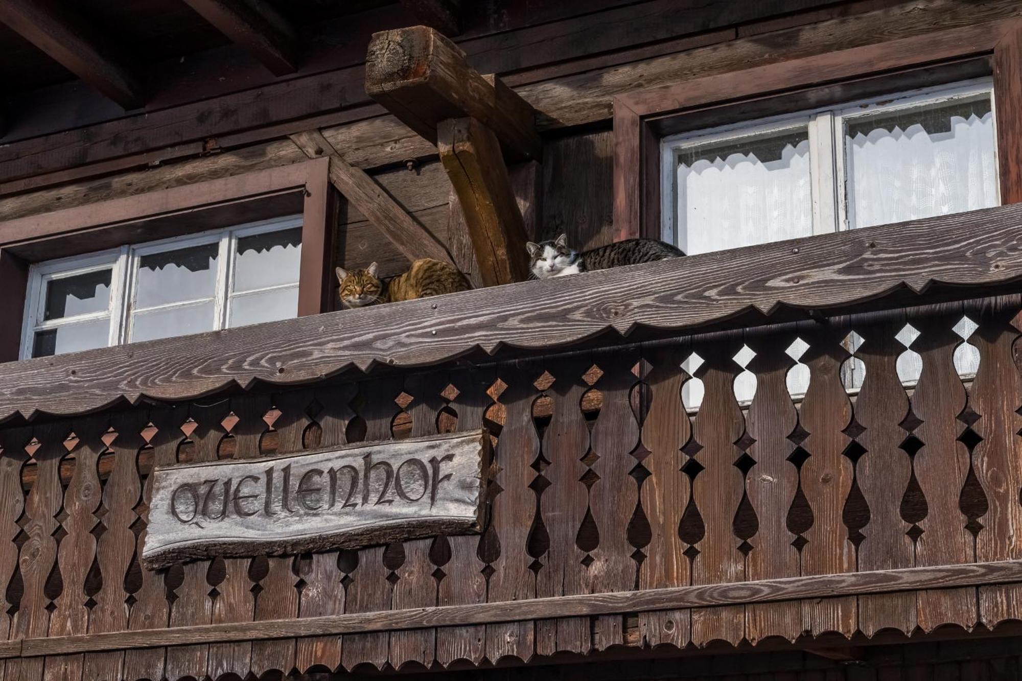 Schwarzwaldliebe Appartement Frohnd Buitenkant foto