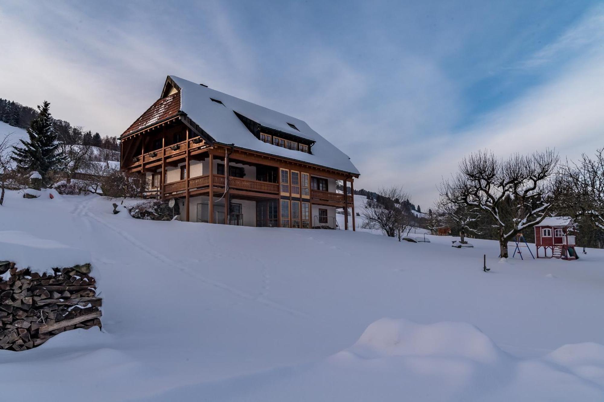 Schwarzwaldliebe Appartement Frohnd Buitenkant foto