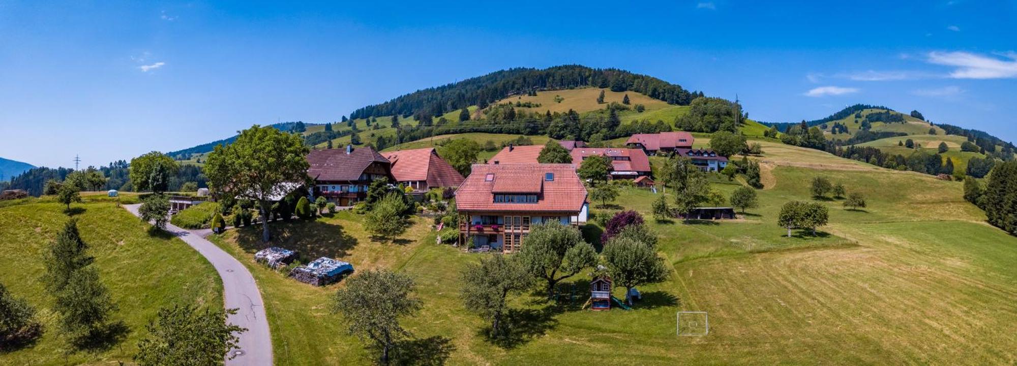 Schwarzwaldliebe Appartement Frohnd Buitenkant foto