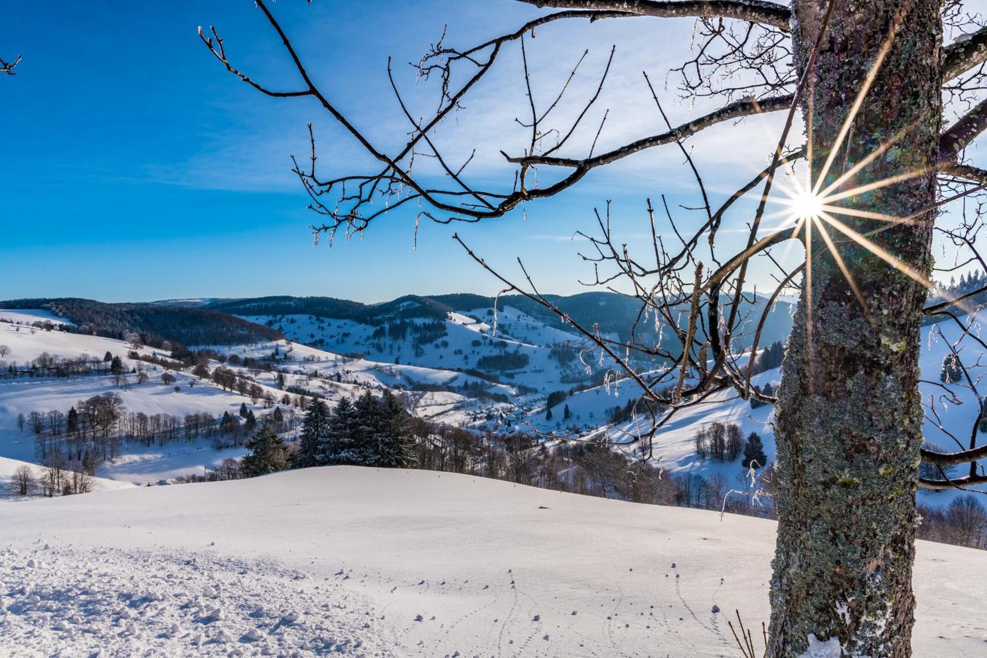 Schwarzwaldliebe Appartement Frohnd Buitenkant foto